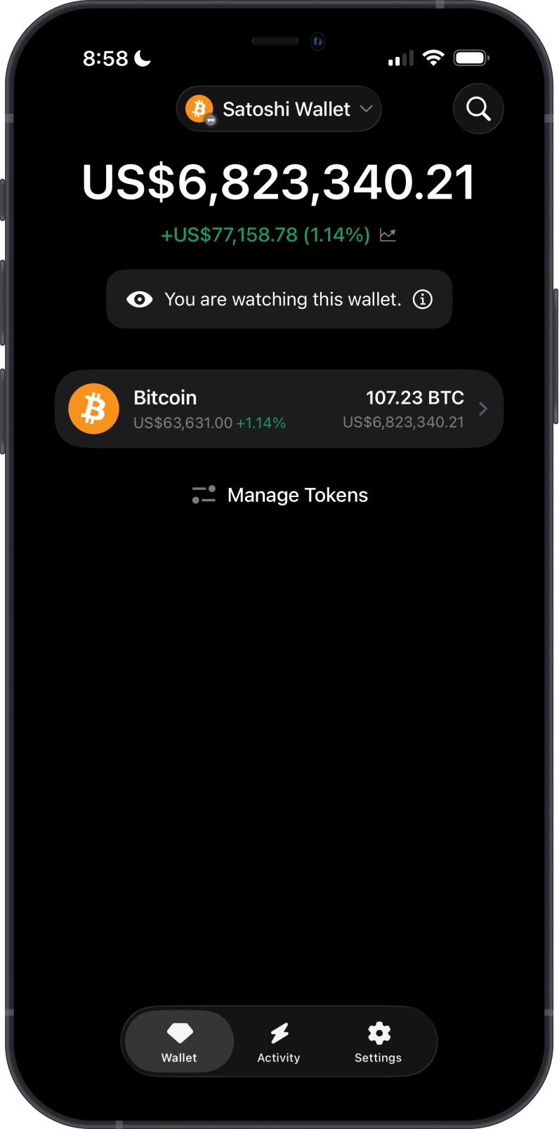 Bitcoin Watch Wallet overview