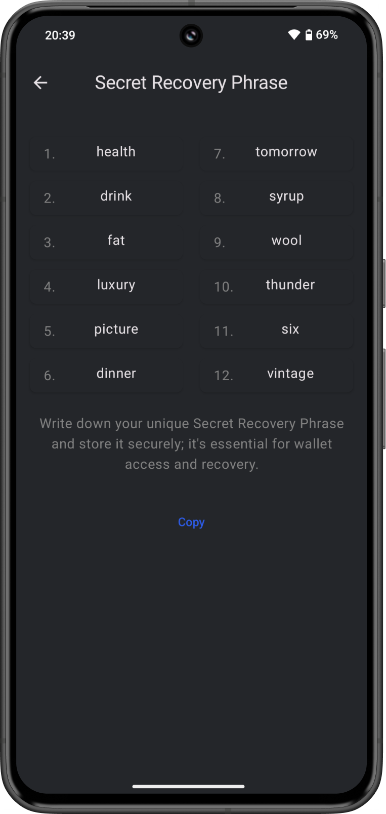 Secret Recovery Phrase Screen