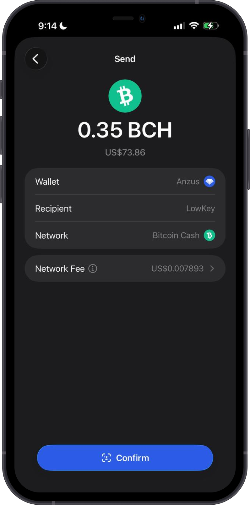 Review a Bitcoin Cash Transaction
