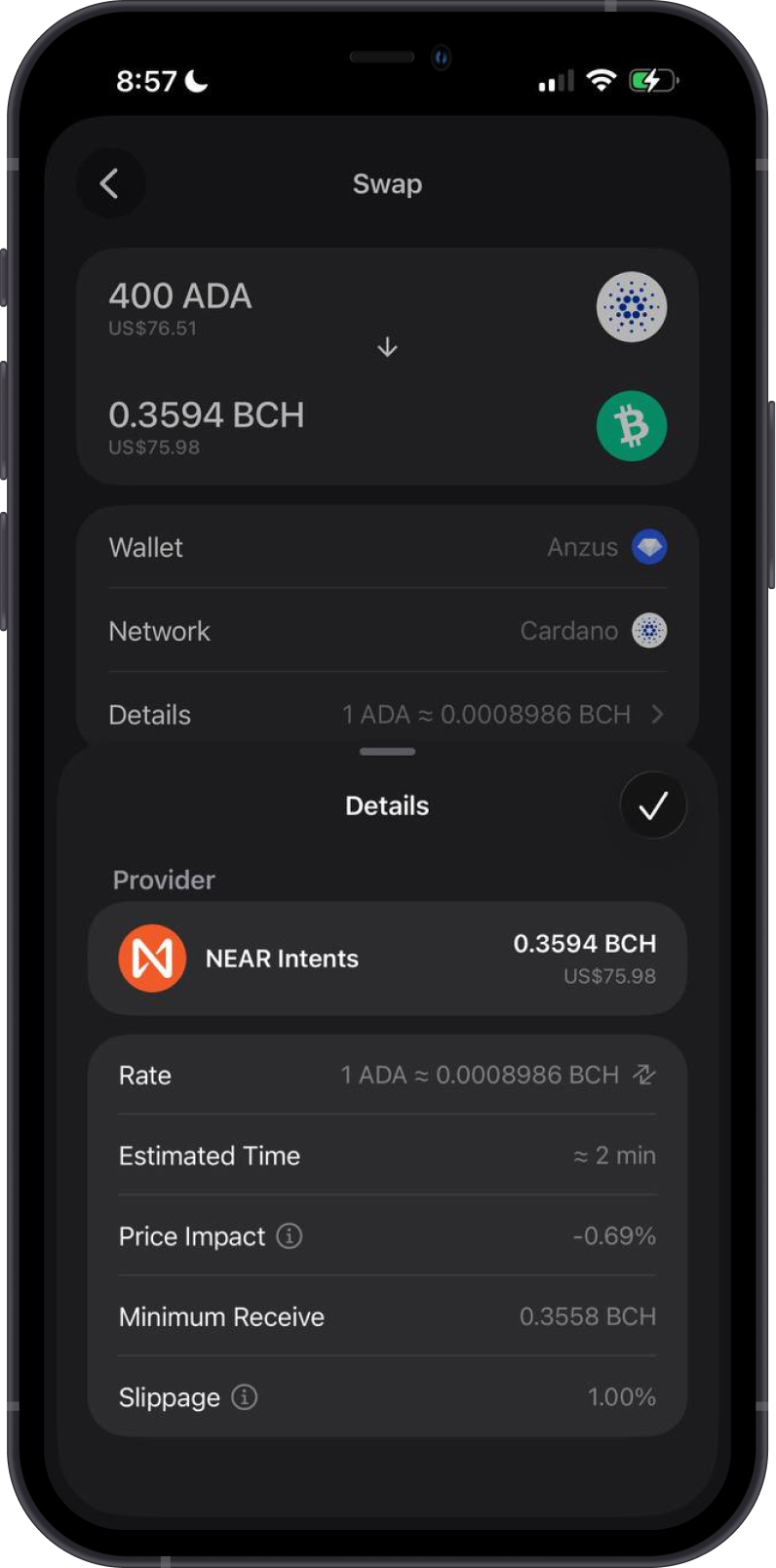 Review Cardano to Bitcoin Cash Swap