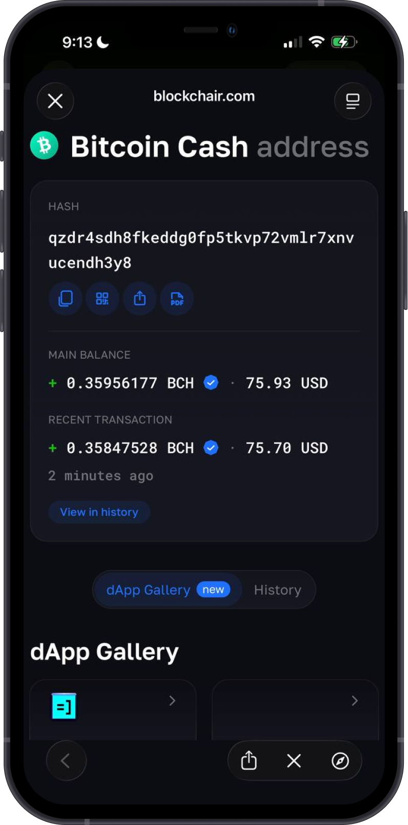 Check Bitcoin Cash Balance on Blockchair