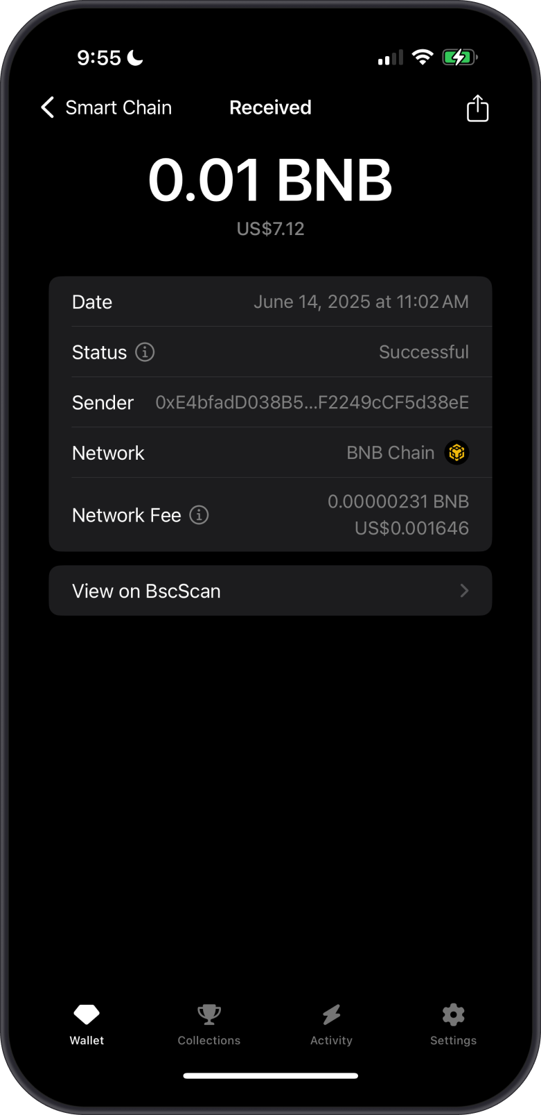 Checking BNB Balance on BscScan