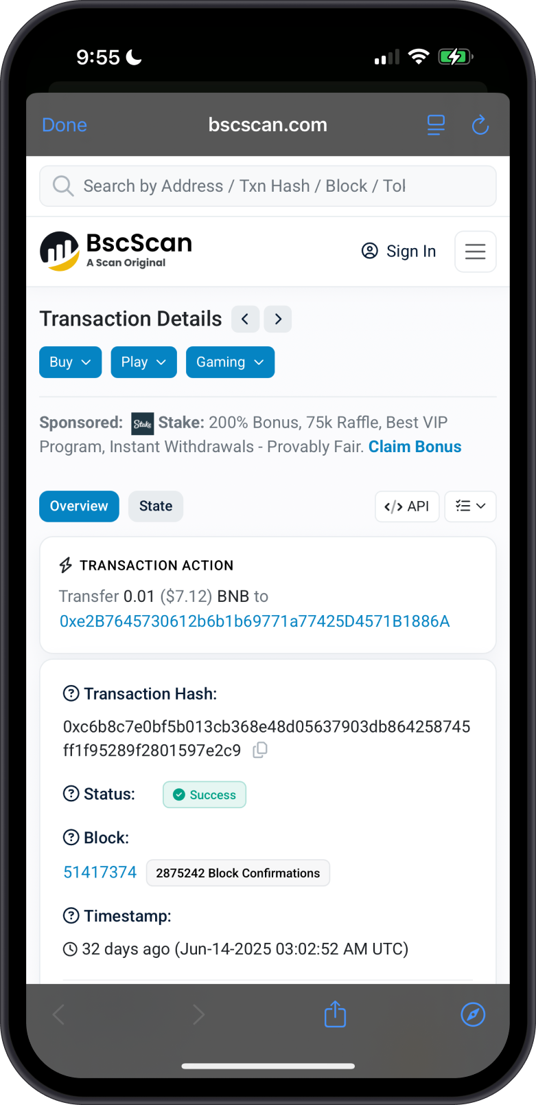 Checking BNB Transaction on BscScan