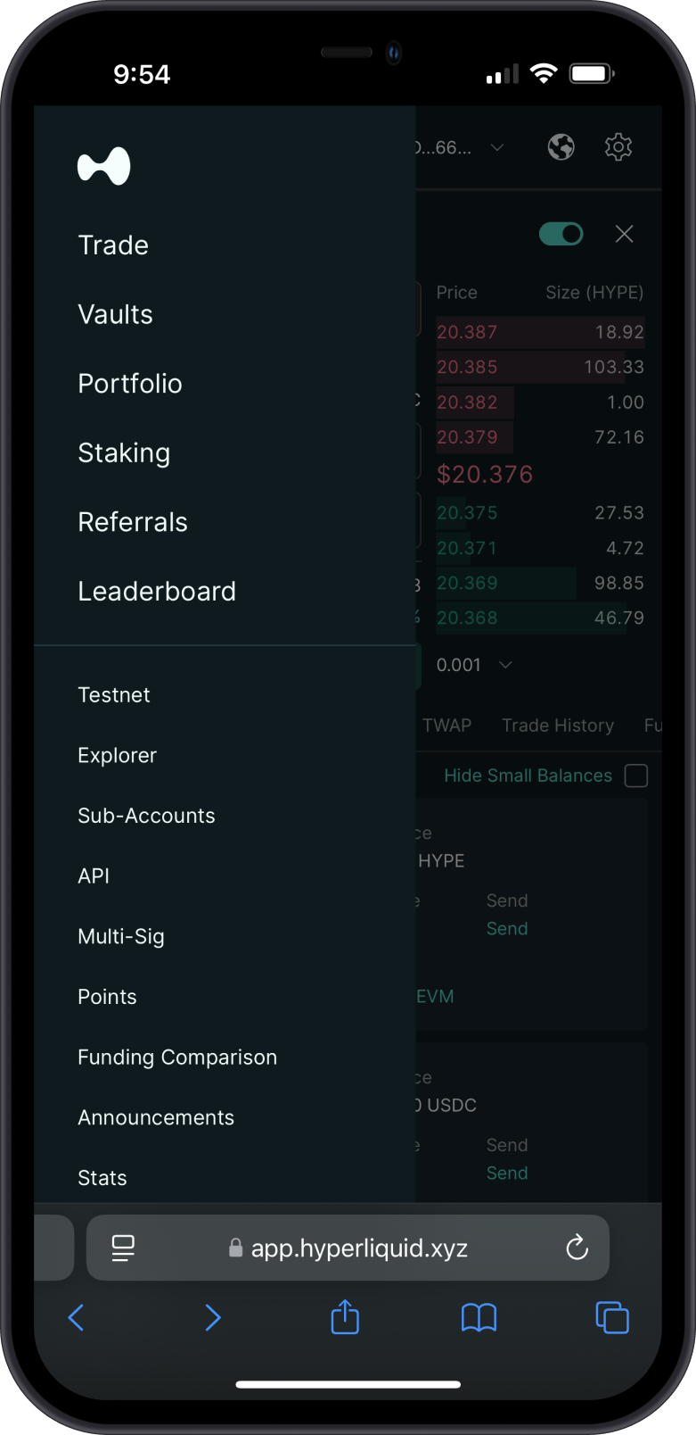 Check Portfolio Tab