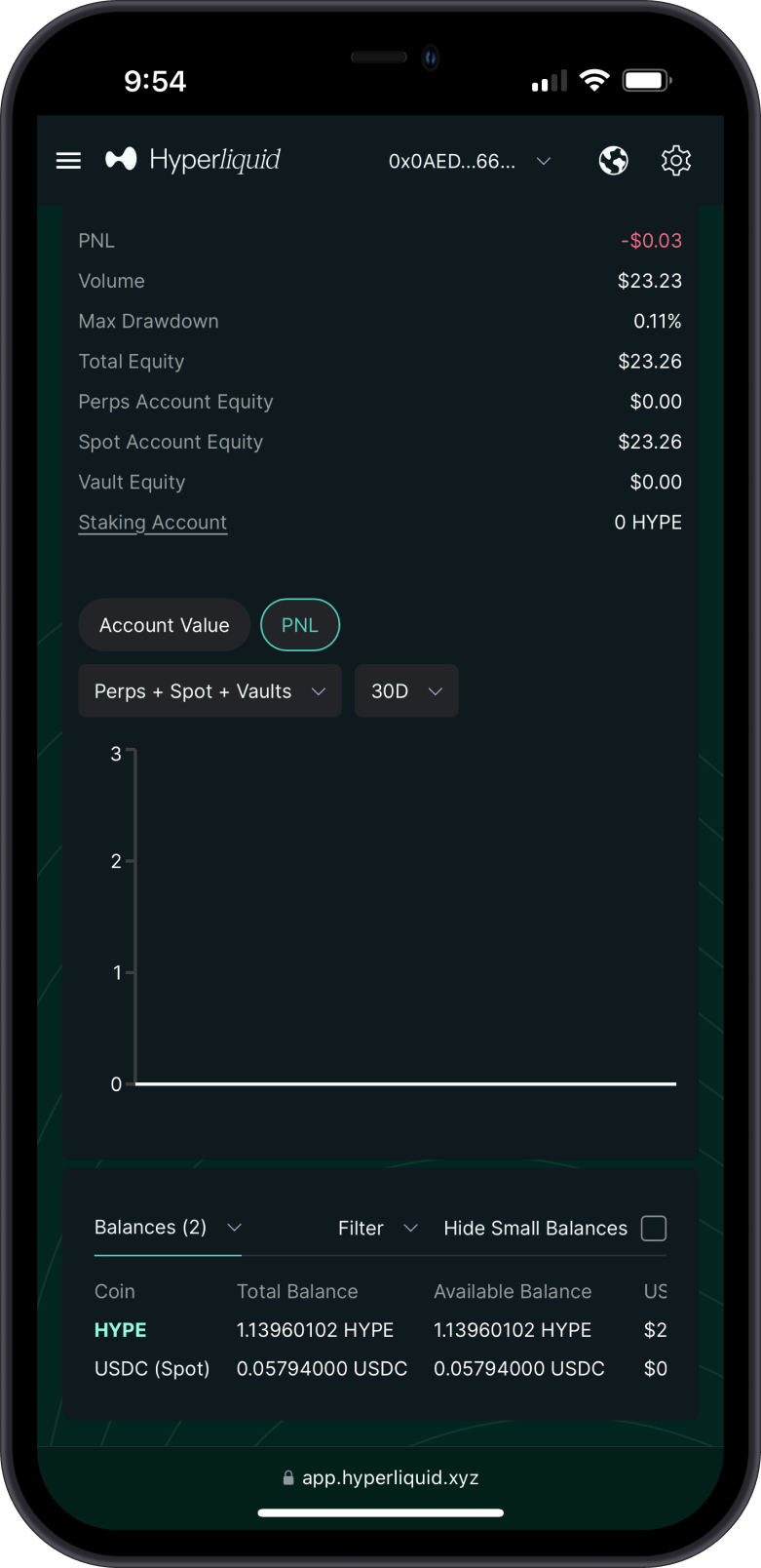 HYPE Balance Check