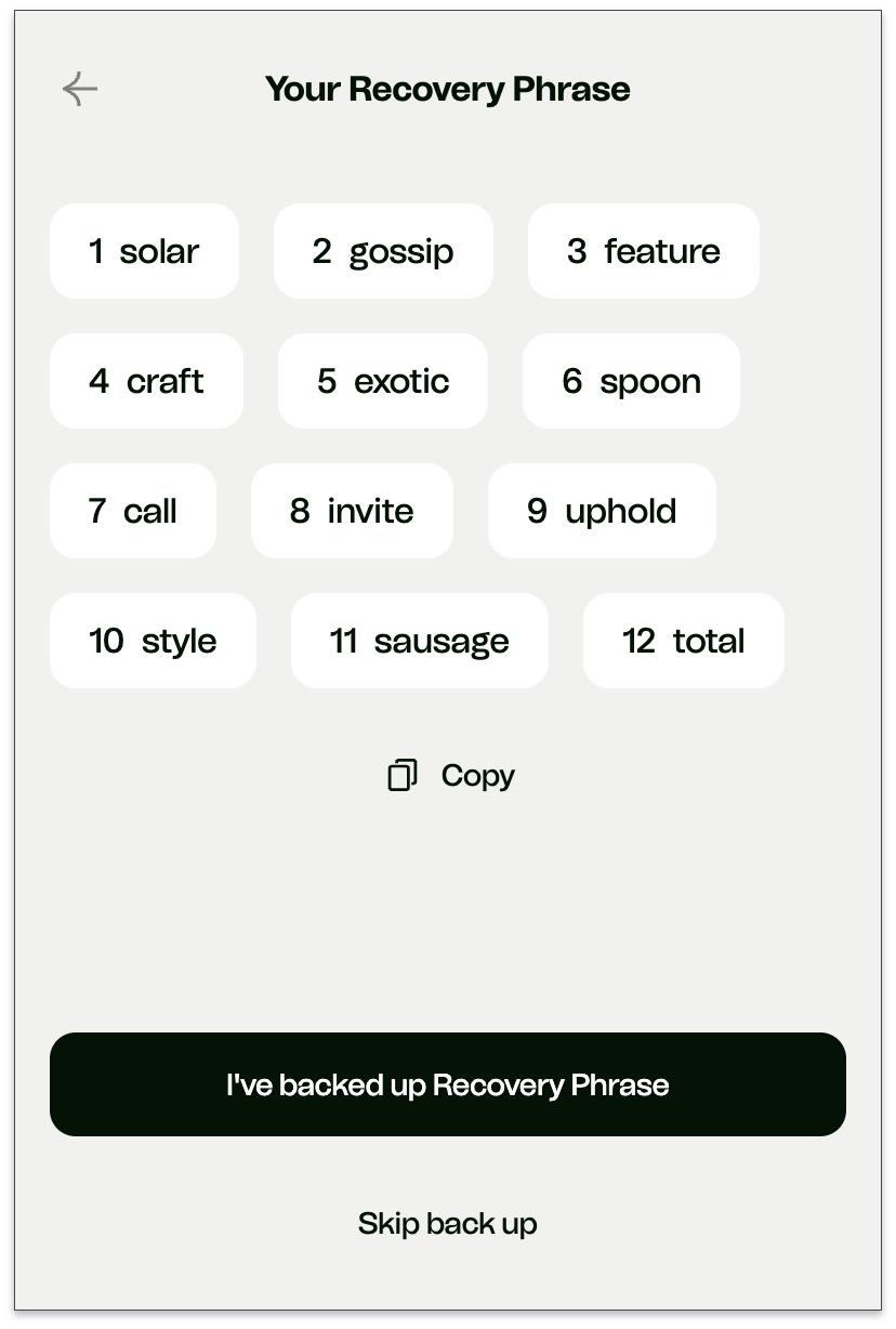 Recovery phrase displayed in CTRL Wallet