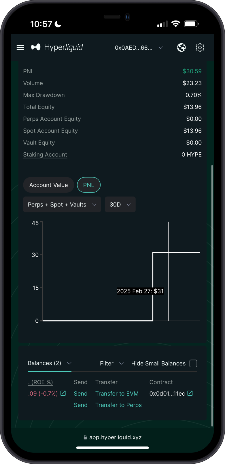 HYPE Balance Check