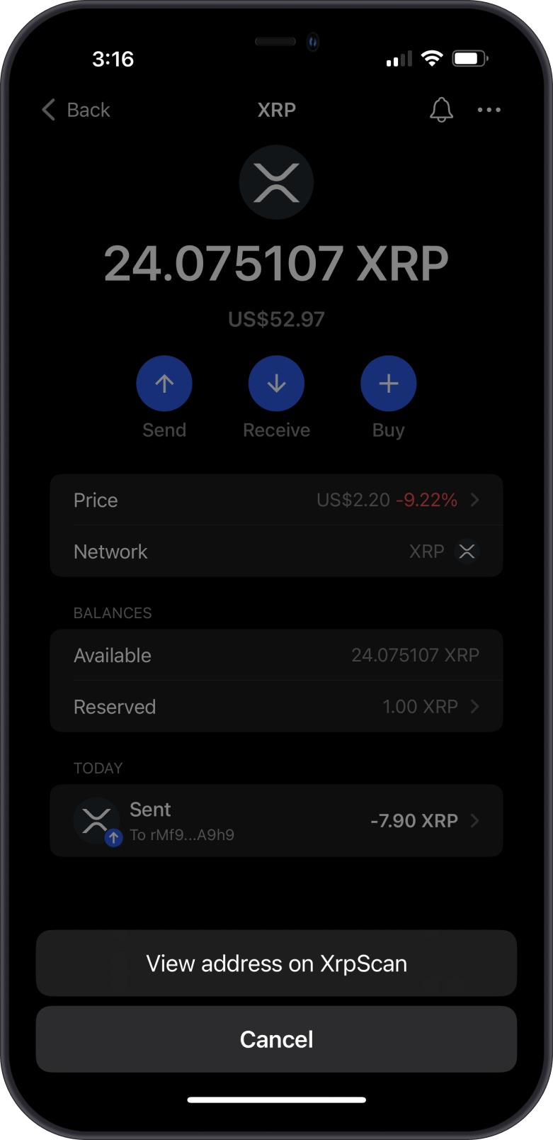 View XRP Balance Screen